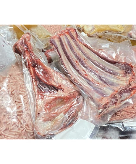 迷ったらこれ😋🐶新型⭐️⭐️季節のワンズおまかせセット🥩🎉10キロ箱🐶😃さらなるお得🉐と最高級✨のリーズナブルの満足を🐶👩🌸