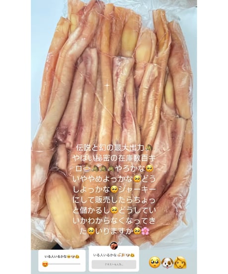 毎度大人気🎉伝説と幻の馬アキレス🐴500グラム🐶😃普段はなかなかお目にかかれない高級アキレス🌸数量限定🎊これはやばいお品ですよね🤔迷ってたらなくなります🐥お早めに🐶👩🌸