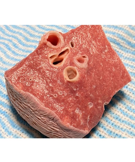 超ウルトラ特選✨幻の特別な国産馬肉・馬の肺🐴🥩200グラム以上🐶😃ごはん生食用🎉最高貴重過ぎです🌺gotogibierカット無添加の完全な安心をどうぞー⭐️楽しみッ🐶👩🌸