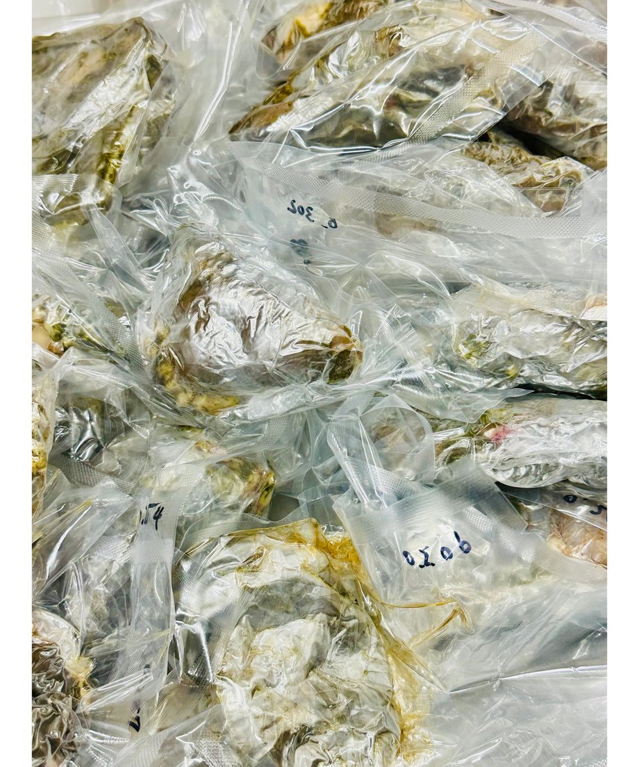 678e39215ec825042926059a