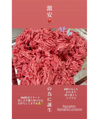 激安🎉国産馬肉🐴ミラクルみんち🥩500g🐶😃とてもお求めやすく気楽にお使いできますとうとう復刻🎉毎日のお肉ごはんだからみんな大好き🐶👩🌸楽しみッ💐