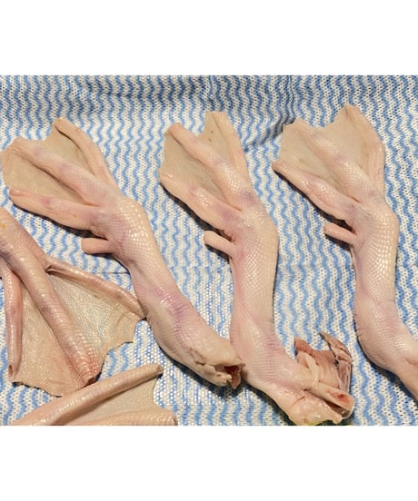 高級国産鴨✨幻の水かきもみじ🦆1キロ🐶😃これは貴重でレアですよね🎁ごはんでもおやつでも🐶👩🌸