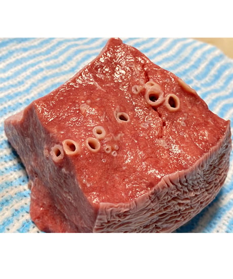 超ウルトラ特選✨幻の特別な国産馬肉・馬の肺🐴🥩200グラム以上🐶😃ごはん生食用🎉最高貴重過ぎです🌺gotogibierカット無添加の完全な安心をどうぞー⭐️楽しみッ🐶👩🌸