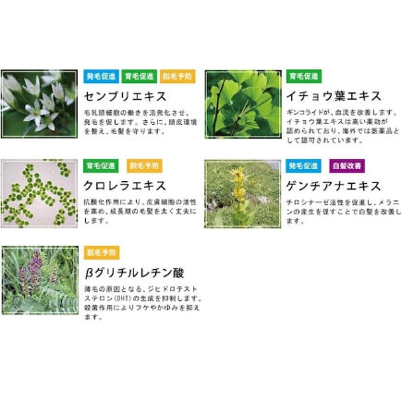 ハーグ ( HARG ) 薬用HGドクターズヘアケアシリーズ HG MD