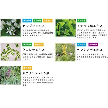 ハーグ HARG 薬用HGドクターズヘアケアシリーズ HG MD 3点セット 薬用HGドクターズヘアケアシリーズ | HG MD®シャンプー - ビューティー