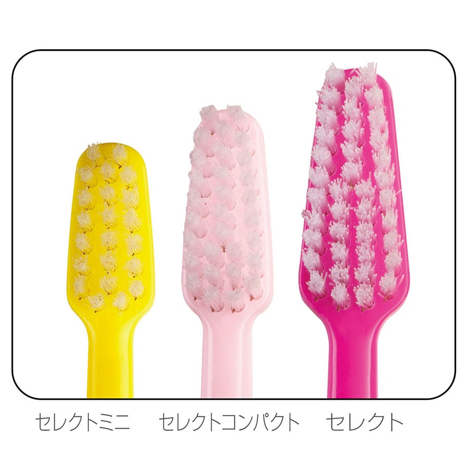 69118b85544a4b005247d7f2