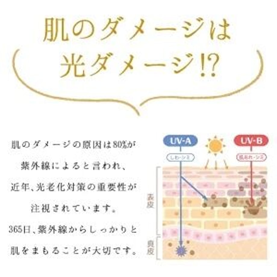 63176244ed4ab01c826d1377
