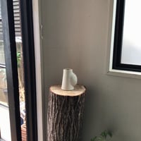 SAWA ISSHIKI / FLOWER VASE : matte WHITE cone shape