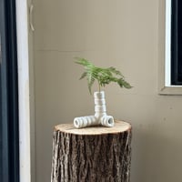 Birbira / Tube vase みつまた