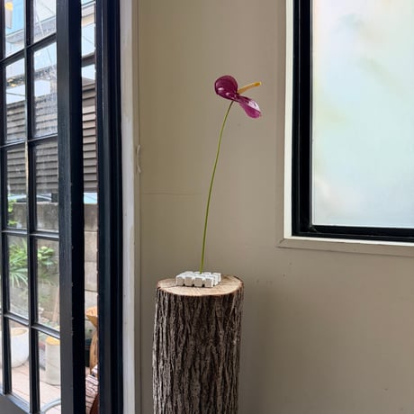 Birbira / soap dish
