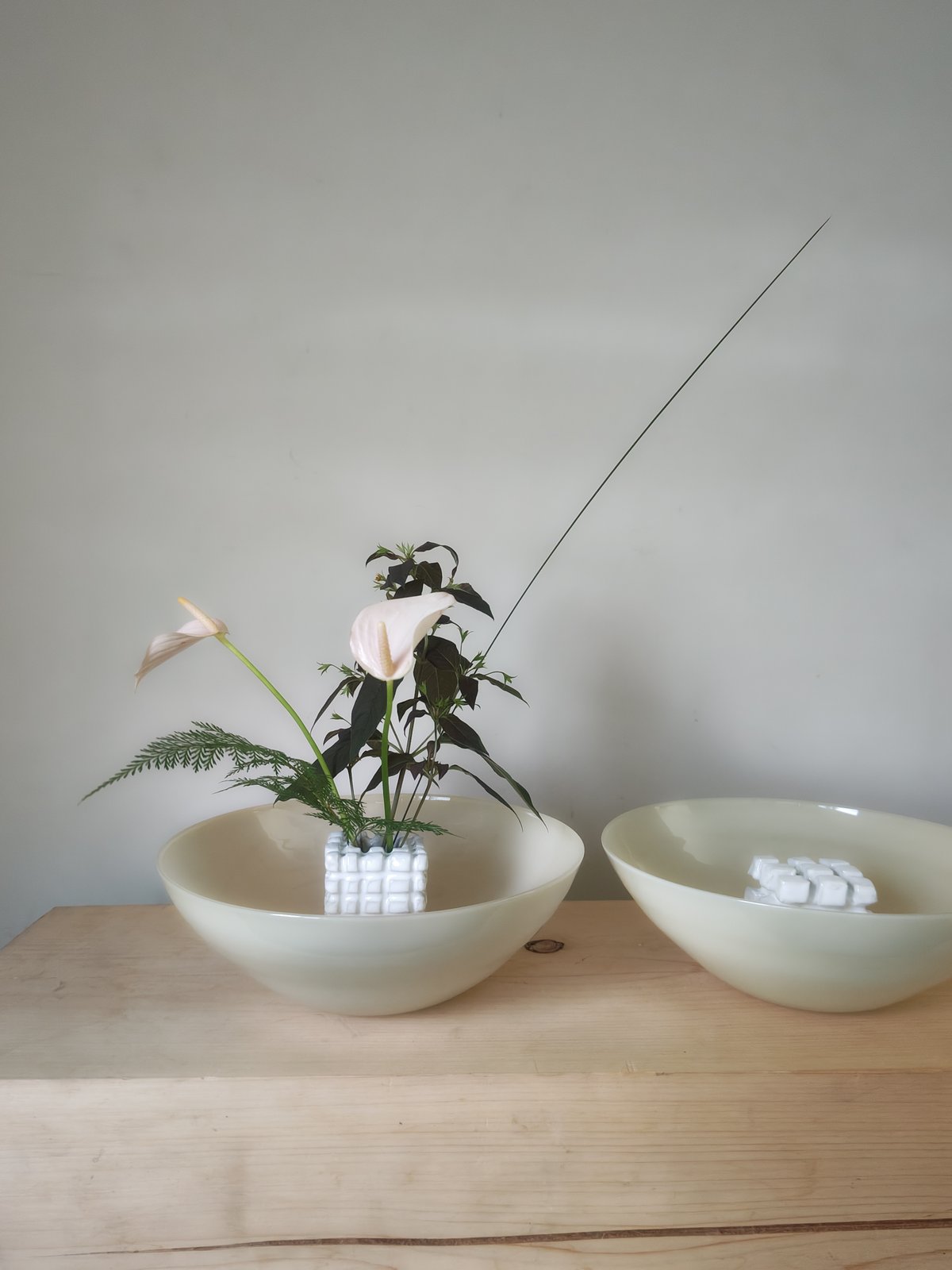 3点set〈万華・クリームパール×ラピスラズリ＆beige〉 ヘイリービーバー多数モデル愛用【vehla】サングラス Olsen 3色