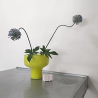 Birbira×qualia glassworks / Bottle vase with ce