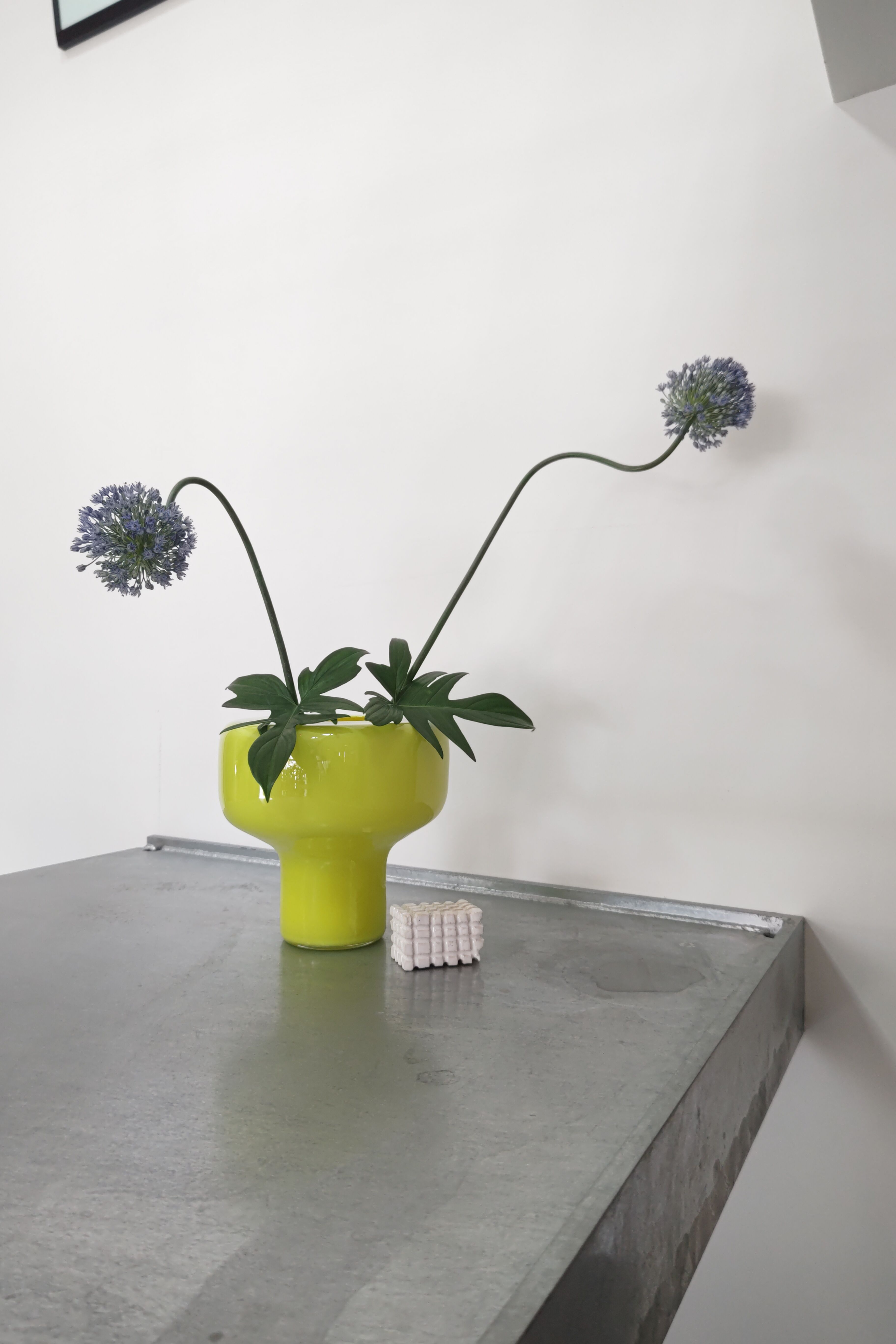 Birbira × qualia glassworks / 凸shape glass vase