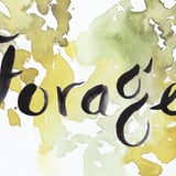 Forager's STORE