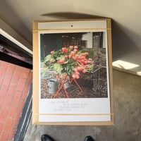 Anne Schwalbe / 2026 Calendar