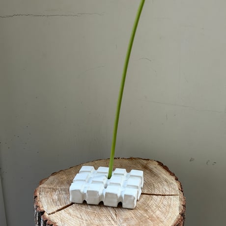 Birbira / soap dish