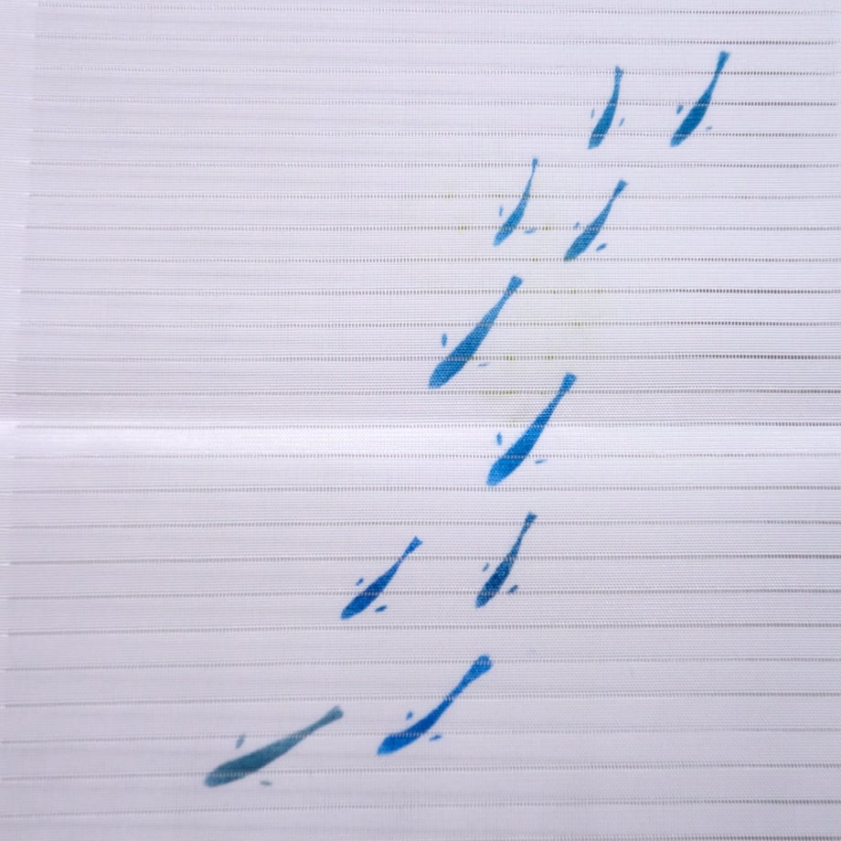 663b09534fdf6e004882d8e6