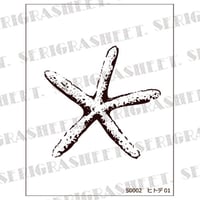 Size-S(S0002)　ヒトデ01