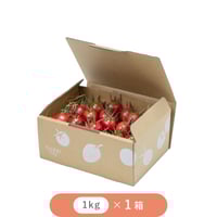 ひりょうやさんのトマト 1㎏ × 1箱