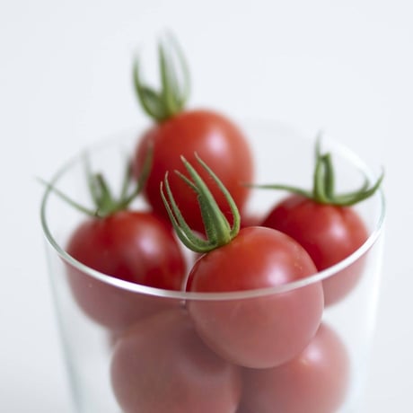 【毎月お届け定期便】 ひりょうやさんのトマト 500g（定価の10%off）