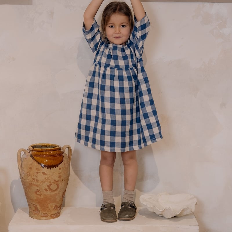 organic zoo Blue Gingham Bella Dress