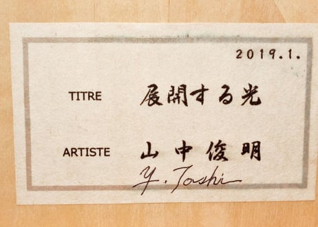 山中　俊明　『展開する光』