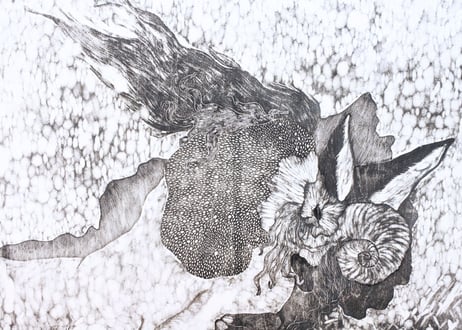 吉田　仁美　『embrace』