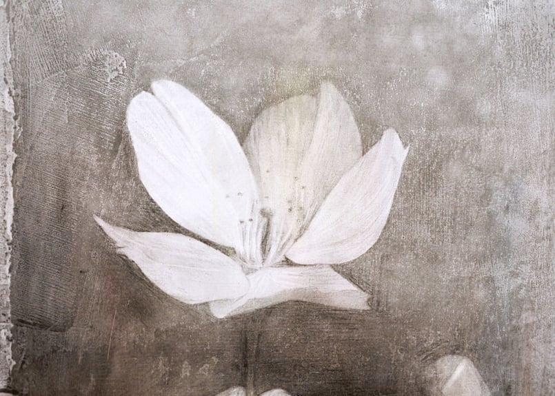 山本 雄三　「Woman 背中」、厳選、希少画集・額装画、人気作品 山本 雄三 「Woman 背中」、厳選、希少画集・額装画、人気作品