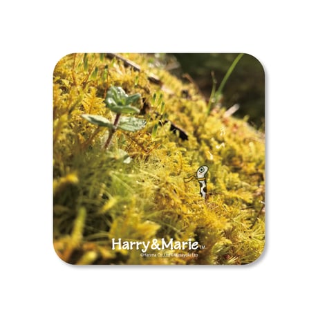 Harry&Marie　ウッドコースター_チンさんphoto