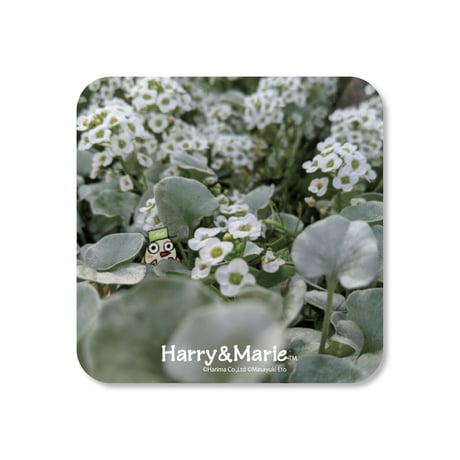 Harry&Marie　ウッドコースター_オーさんとお花