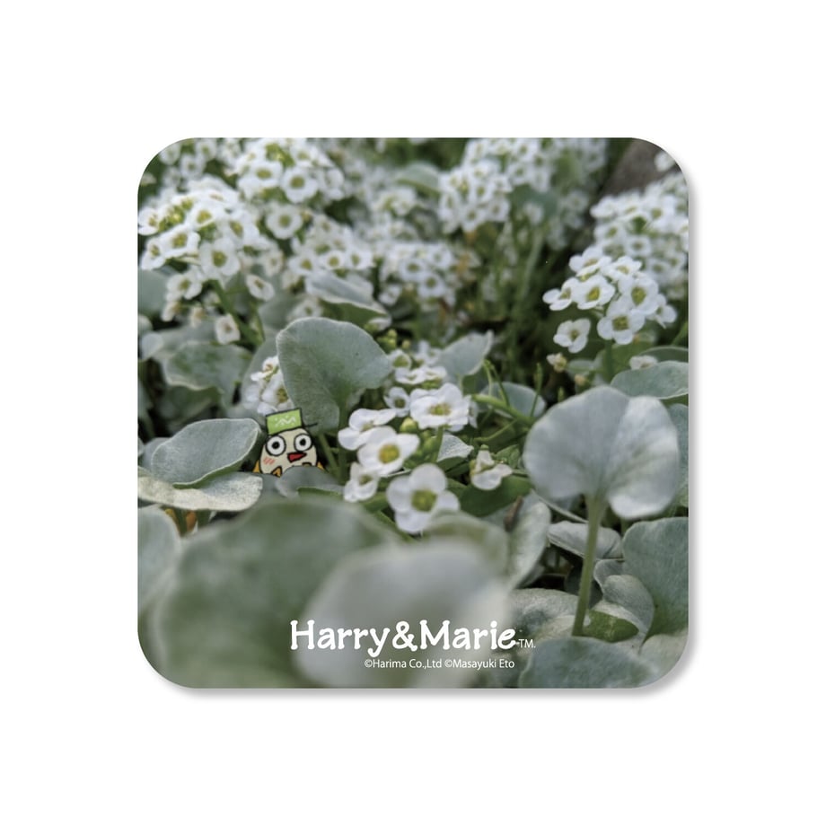 6171193372eb4630fd9c95cd