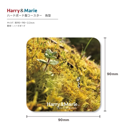 Harry&Marie　ウッドコースター_チンさんphoto