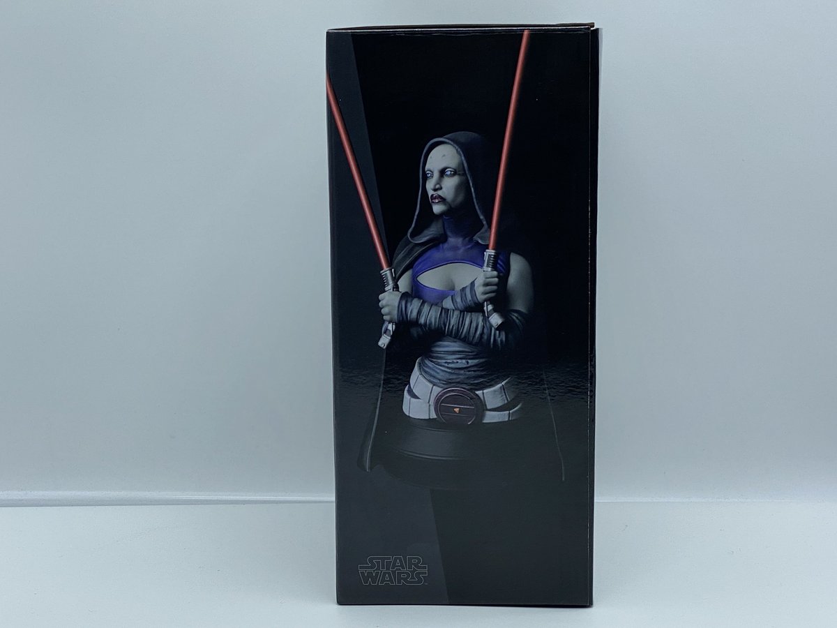 GGミニバストシリーズ CW アサージヴェントレス | House Vader