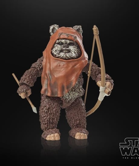 6インチ　ブラックシリーズ　フィギュア　EP6 ROTJ 40th.限定パッケージ　イォークウィケット