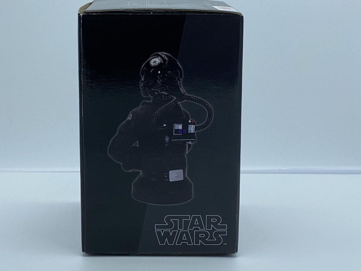 GGミニバストシリーズ EP4 タイファイターパイロット | House