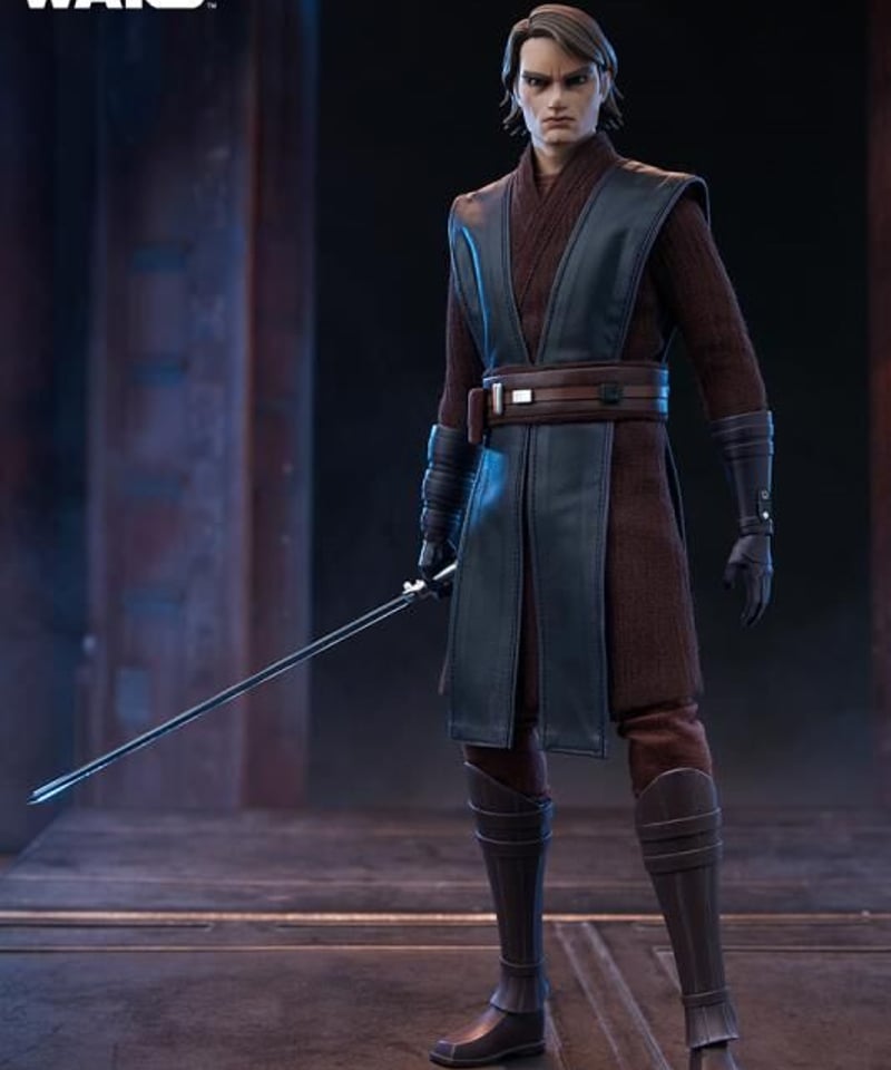 6スケール フィギュア シリーズ SS CW版 アナキンスカイ