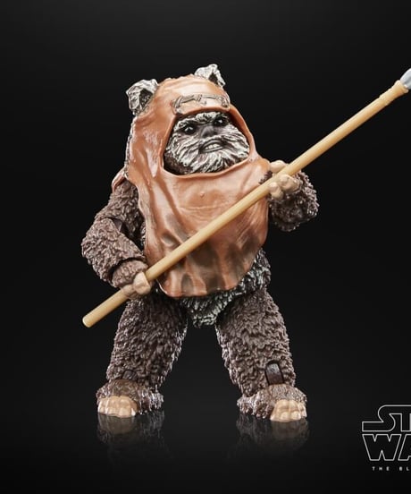 6インチ　ブラックシリーズ　フィギュア　EP6 ROTJ 40th.限定パッケージ　イォークウィケット