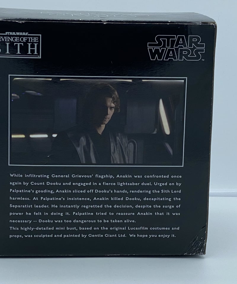 GGミニバストシリーズ EP3 アナキンスカイウォーカー | House