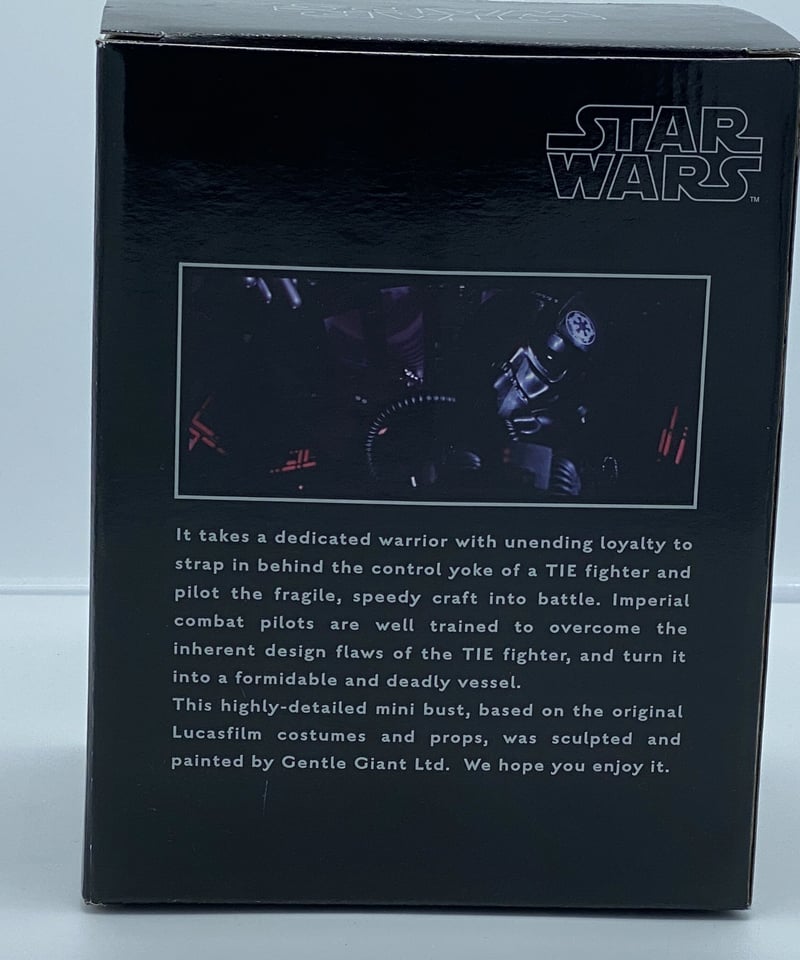 GGミニバストシリーズ EP4 タイファイターパイロット | House