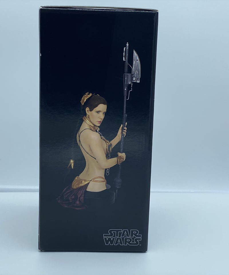 GGミニバストシリーズ EP6 スレイブレイア | House Vader Online Shop