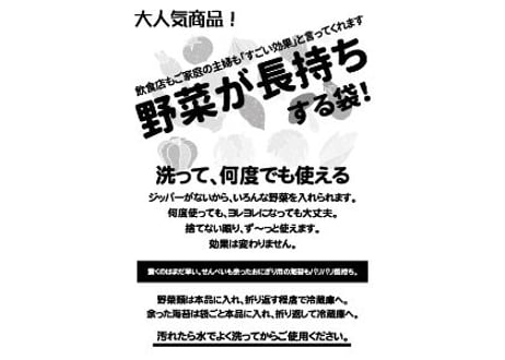 鮮度保持袋テラパック100枚セット【ご挨拶等にすぐ使える販促チラシ付き】