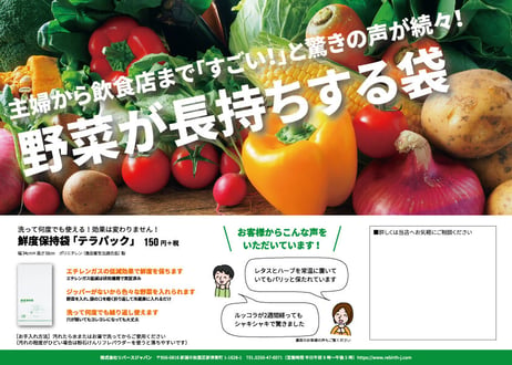 鮮度保持袋テラパック（10枚セット）
