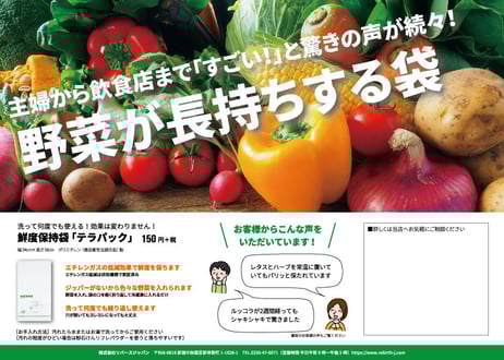 鮮度保持袋テラパック50枚セット【ご挨拶等にすぐ使える販促チラシ付き】