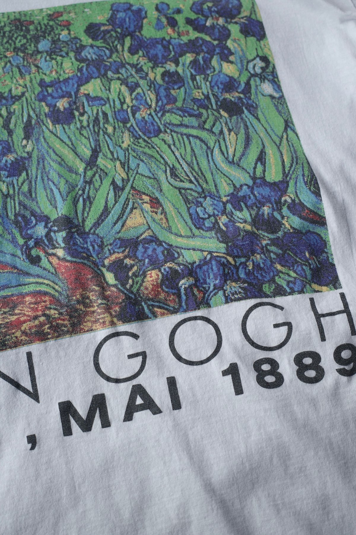 Vincent Van Gogh 