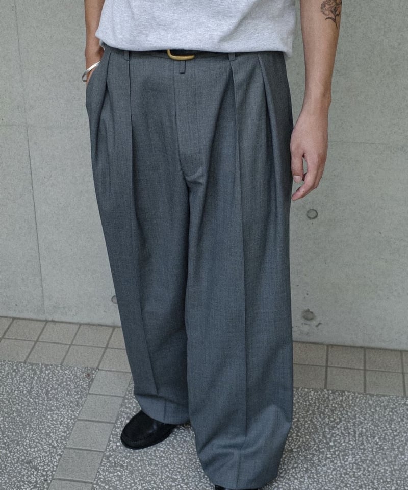 NEAT / T/W NEAT Action Slacks Wide - Gray | DAM