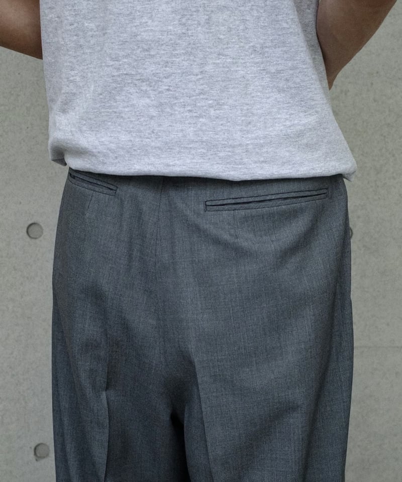 NEAT / T/W NEAT Action Slacks Wide - Gray | DAM