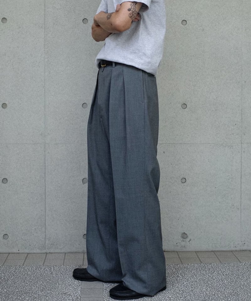 NEAT / T/W NEAT Action Slacks Wide - Gray | DAM