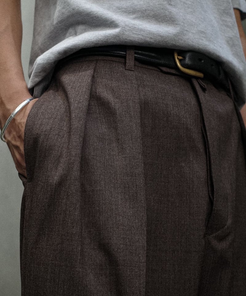 NEAT / T/W NEAT Action Slacks Wide - Brown | DA