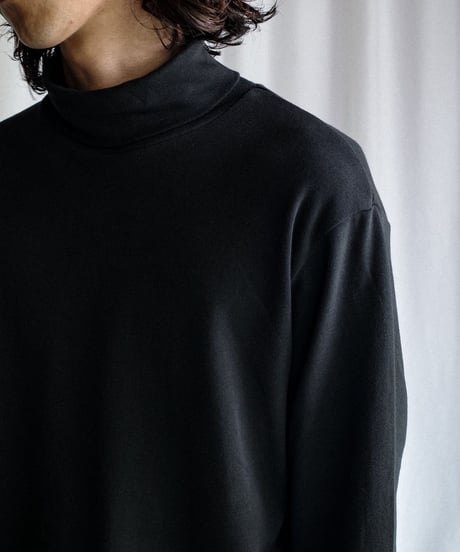 Dress Plain Turtleneck