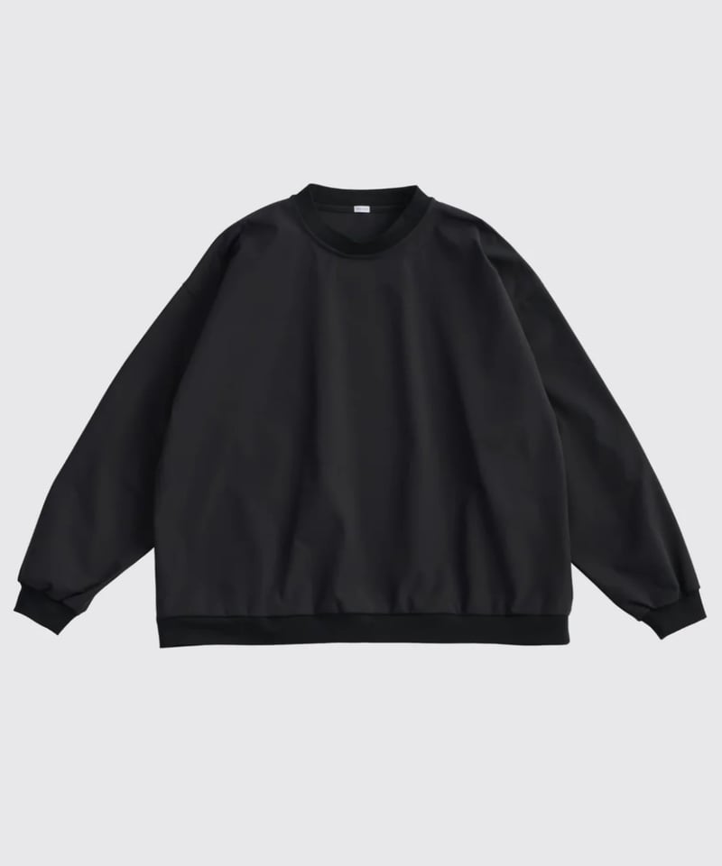 the day NYLON STRETCH CREWNECK ザデイ¥33000 THE DAY - COMFORTABLE NYLON STRETCH CREWNECK -B